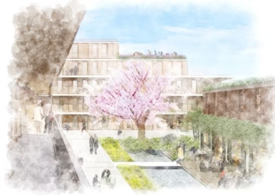 Furusato Huis — 桜のある中庭イメージ